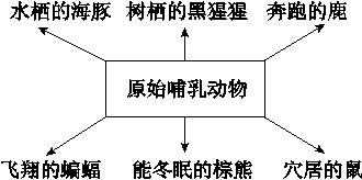 图片_x0020_3