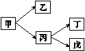 图片_x0020_4