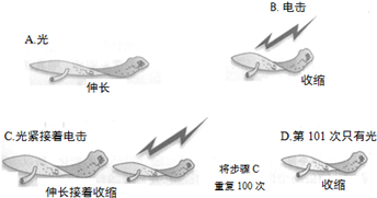 图片_x0020_8