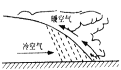 图片_x0020_100017