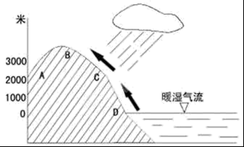 图片_x0020_100006