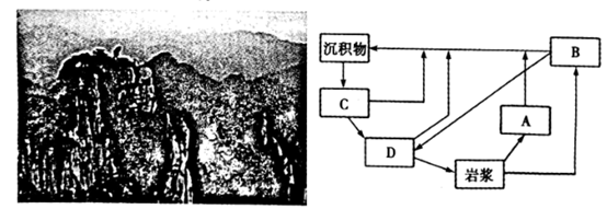 图片_x0020_100010