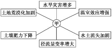 图片_x0020_501385527