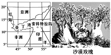 图片_x0020_100014