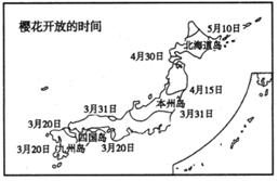 图片_x0020_100009