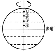 图片_x0020_100012