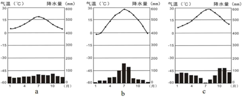 图片_x0020_100028