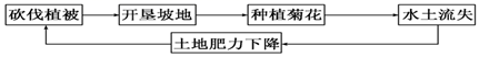 图片_x0020_100005