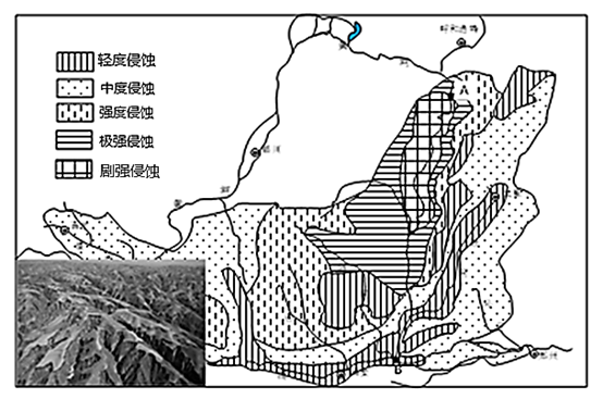 图片_x0020_1953198815