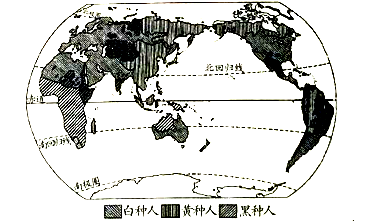 图片_x0020_100013
