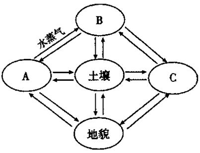 图片_x0020_100012