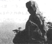 图片_x0020_100020