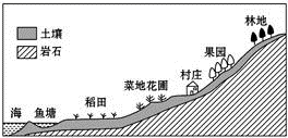 图片_x0020_1557195601