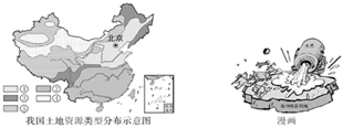 图片_x0020_100011