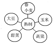 图片_x0020_1784802755