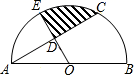 图片_x0020_100008