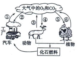 图片_x0020_100005