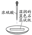 图片_x0020_100006