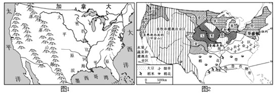 图片_x0020_7