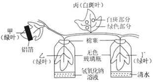 图片_x0020_100010