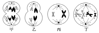 图片_x0020_100001