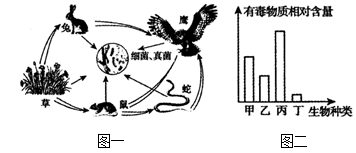 图片_x0020_100014