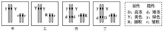 图片_x0020_100003