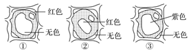 图片_x0020_100019