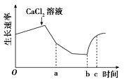 图片_x0020_499207046