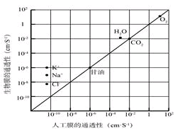 图片_x0020_414368564