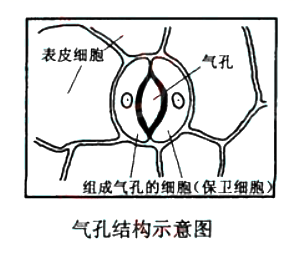 图片_x0020_100037