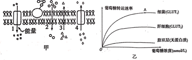 图片_x0020_100015