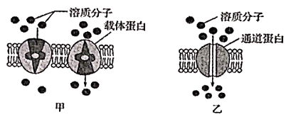 图片_x0020_100010