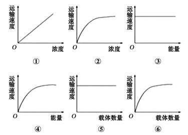 图片_x0020_100009