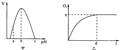 图片_x0020_1704676020
