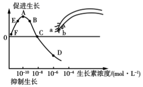 图片_x0020_503706271