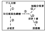 图片_x0020_1034081302