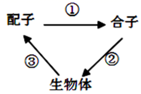 图片_x0020_100007