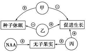 图片_x0020_1040985636