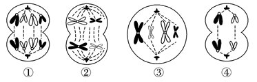 图片_x0020_100007