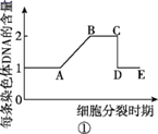 图片_x0020_100008