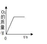 图片_x0020_100006