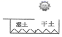 图片_x0020_100004