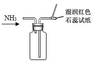 图片_x0020_100009