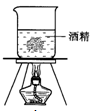 图片_x0020_453396478