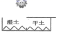 图片_x0020_100005