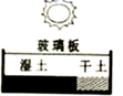 图片_x0020_100016