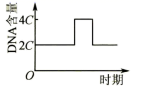 图片_x0020_100004