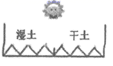 图片_x0020_100002